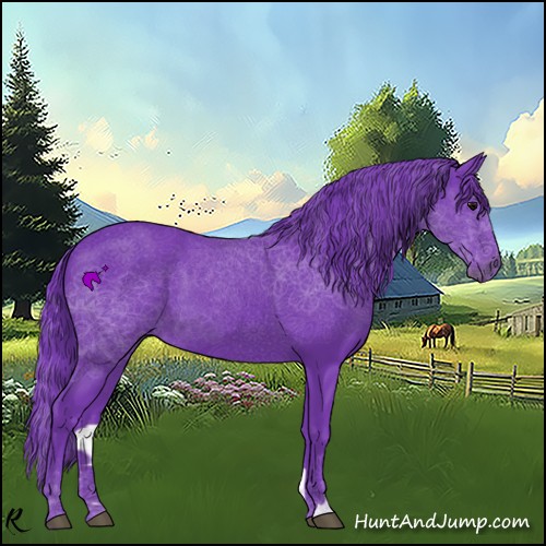 Horse Color:Watercolor Black 