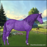 Horse Color:Watercolor Black 
