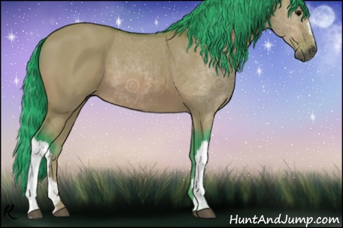 Horse Color:Gray Watercolor Bay Dun