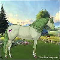 Horse Color:Watercolor Red Dun Roan