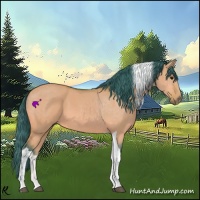 Horse Color:Watercolor Bay Dun Tobiano