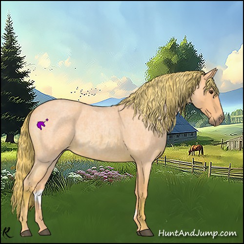 Horse Color:Watercolor Red Roan 