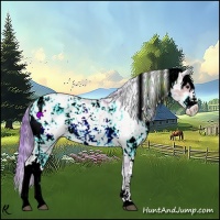 Horse Color:Watercolor Bay Dun Sabino 