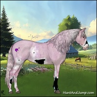 Horse Color:Watercolor White Spotted Silver Brown Roan Dun Frame 