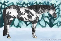 Horse Color:White Spotted Black Frame