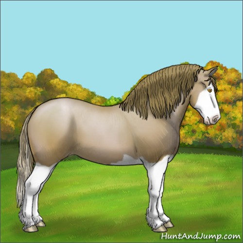Horse Color:Bay Pearl Splash 