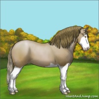 Horse Color:Bay Pearl Splash 