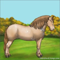 Horse Color:White Spotted Chestnut Pearl 