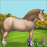 Horse Color:Chestnut Pearl 