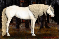 Horse Color:Buckskin Roan Pearl and Buckskin Roan Pearl Frame