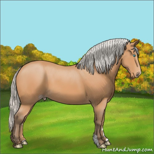 Horse Color:Gray Silver Perlino 