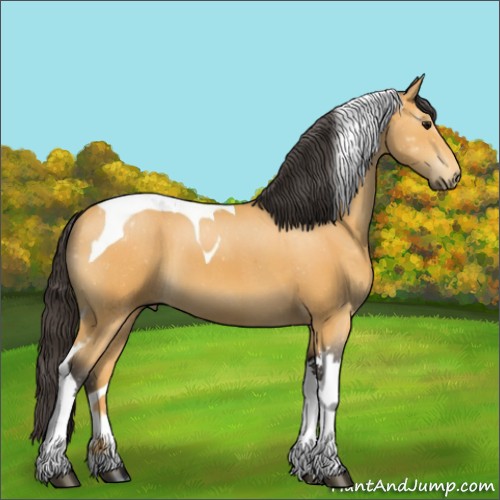 Horse Color:Buckskin Tobiano 