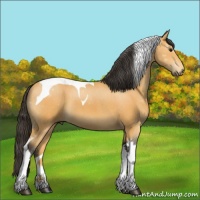 Horse Color:Buckskin Tobiano
