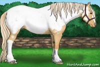 Horse Color:Palomino Dun Snowcap 
