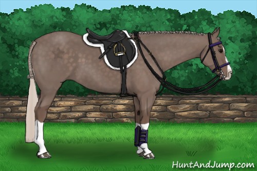 Horse Color:Silver Black Splash 