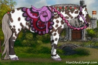 Horse Color:Silver Brown Roan Near Leopard