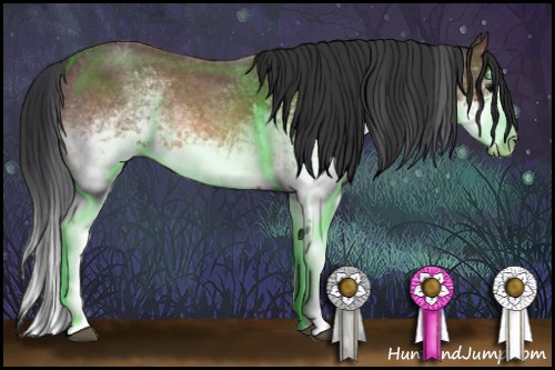 Horse Color:White Spotted Bay Roan Splash