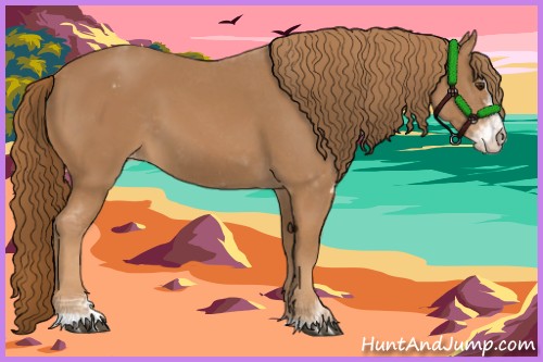 Horse Color:Chestnut Sabino Varnish