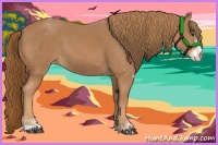 Horse Color:Chestnut Sabino Varnish 