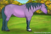 Horse Color:Watercolor Bay Dun 