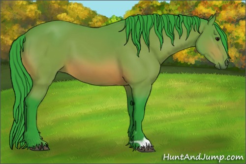 Horse Color:Watercolor Bay