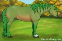 Horse Color:Watercolor Bay 