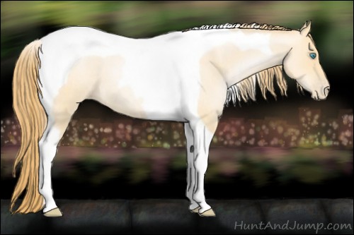 Horse Color:Buckskin Roan Pearl Tobiano 