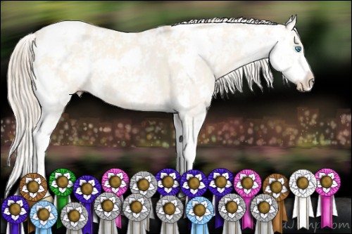 Horse Color:Perlino Dun Sabino Brindle 