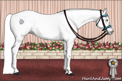 Horse Color:Gray Gold Champagne Dun 