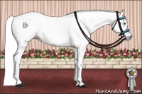 Horse Color:Gray Gold Champagne Dun 