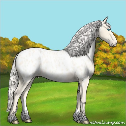Horse Color:Cremello Appaloosa 