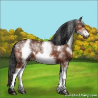 Horse Color:White Spotted Bay Frame 