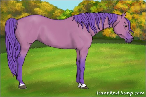 Horse Color:Watercolor Chocolate Grullo 