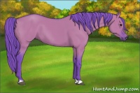 Horse Color:Watercolor Chocolate Grullo 