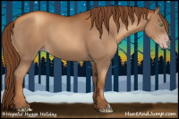 Horse Color:Gray Gold Champagne