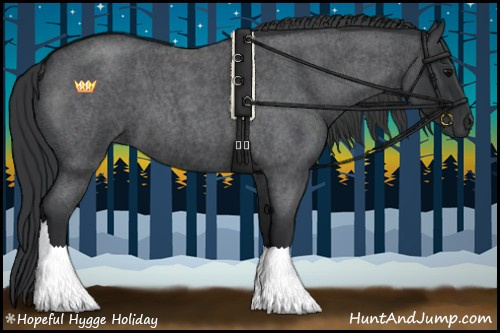 Horse Color:Blue Roan 