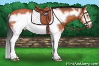 Horse Color:Brown Splash Frame Rabicano