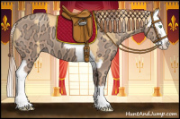 Horse Color:Gold Cream Champagne Dun Splash and Gold Champagne Ice Splash