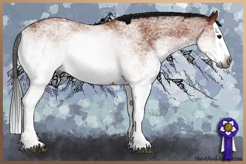 Horse Color:Gray White Spotted Bay Splash Rabicano