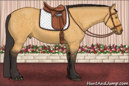 Horse Color:Buckskin Dun Rabicano 