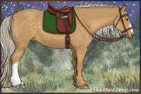 Horse Color:Palomino 