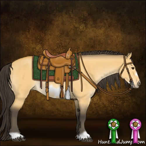 Horse Color:Buckskin Dun Frame Rabicano
