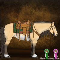Horse Color:Buckskin Dun Frame Rabicano 