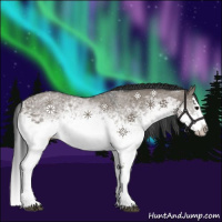 Horse Color:White Spotted Grullo Sabino Splash Rabicano 