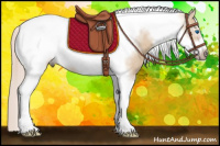 Horse Color:Silver Bay Dun Tobiano Frame Rabicano