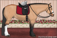 Horse Color:Bay Dun