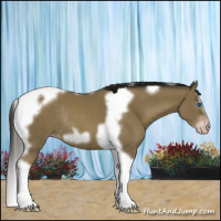 Horse Color:Gray Classic Cream Champagne Splash Tobiano Frame Rabicano 