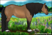Horse Color:Gray Bay Dun
