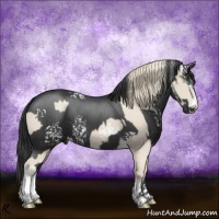 Horse Color:White Spotted Smoky Creme Splash  and White Spotted Black Splash 
