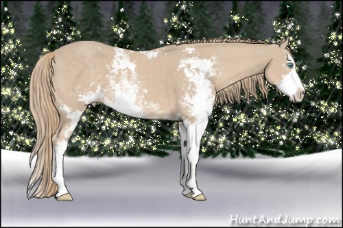 Horse Color:Smoky Creme Sabino